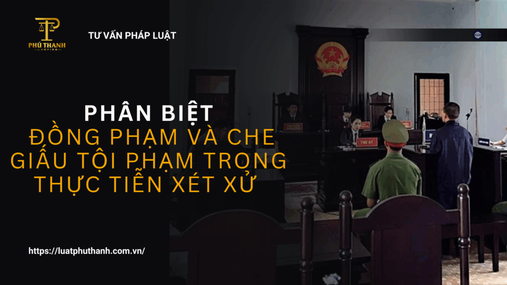Phân biệt đồng phạm và che giấu tội phạm trong thực tiễn xét xử theo quy định hiện hành