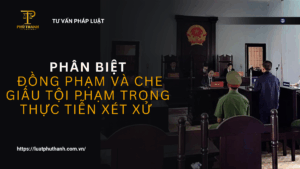Phân biệt đồng phạm và che giấu tội phạm trong thực tiễn xét xử theo quy định hiện hành